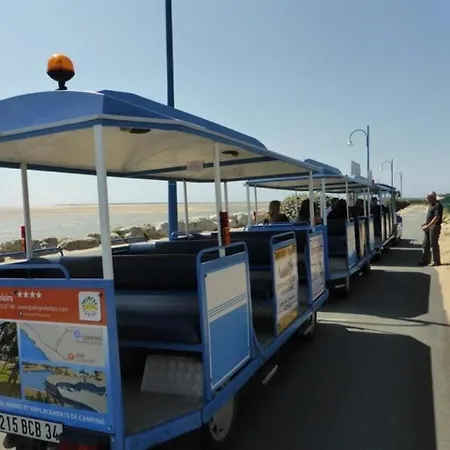 La Palmyre - L'etoile - Au Centre De La Station - Proche Plage Par Pistes Cyclables- Les Mathes